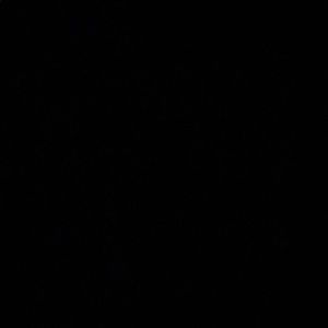 Meet your Posher, Cougar